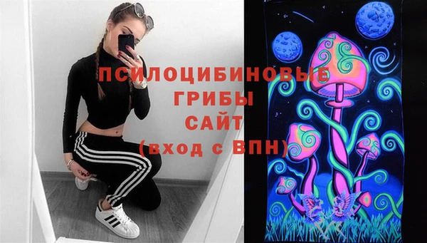 прущие грибы Богородицк