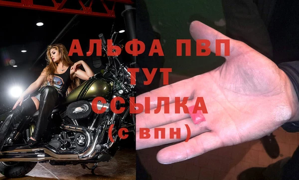 прущие грибы Богородицк