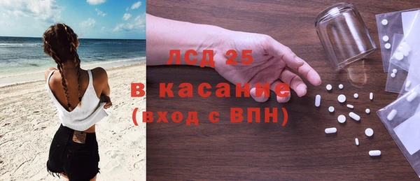 прущие грибы Богородицк