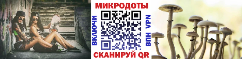 купить закладку  Юрьев-Польский  MEGA сайт  Галлюциногенные грибы Cubensis 
